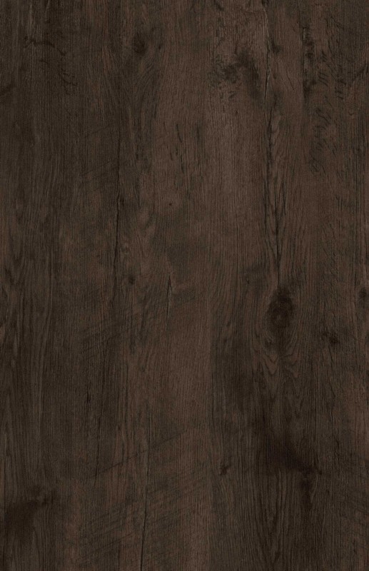 akaciya temnaya akaciya temnaya