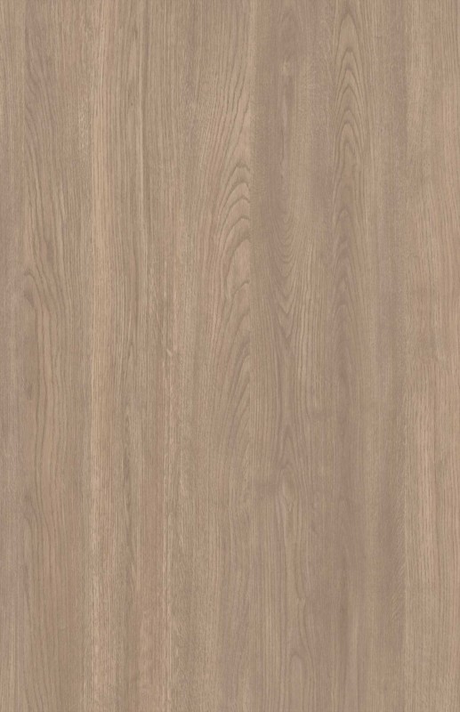 dub evropeuskiy dub evropeuskiy