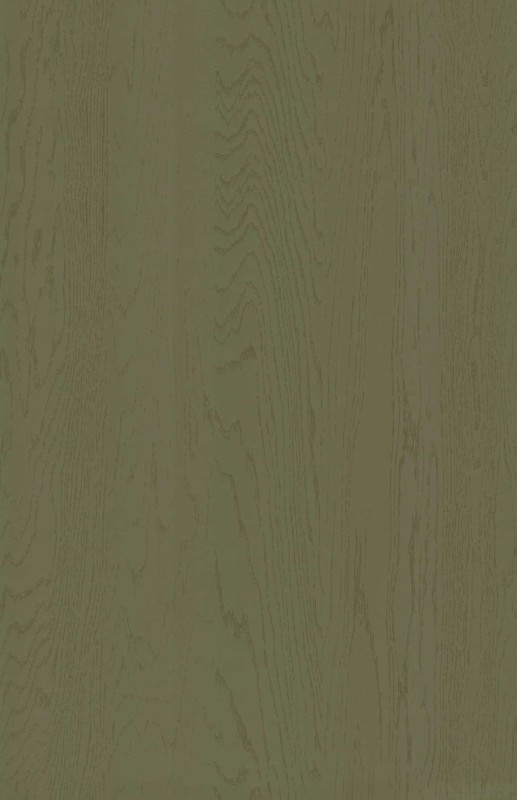 dub olivkovyy dub olivkovyy