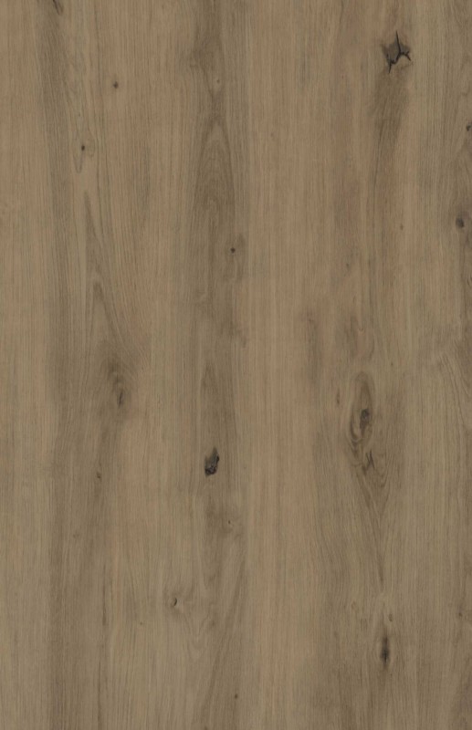 dub palermo dub palermo