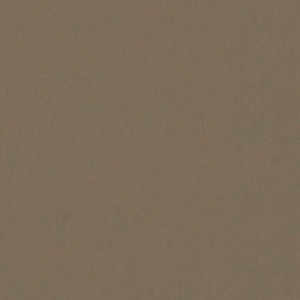 fenix 1 20210120 fenix 1 20210120