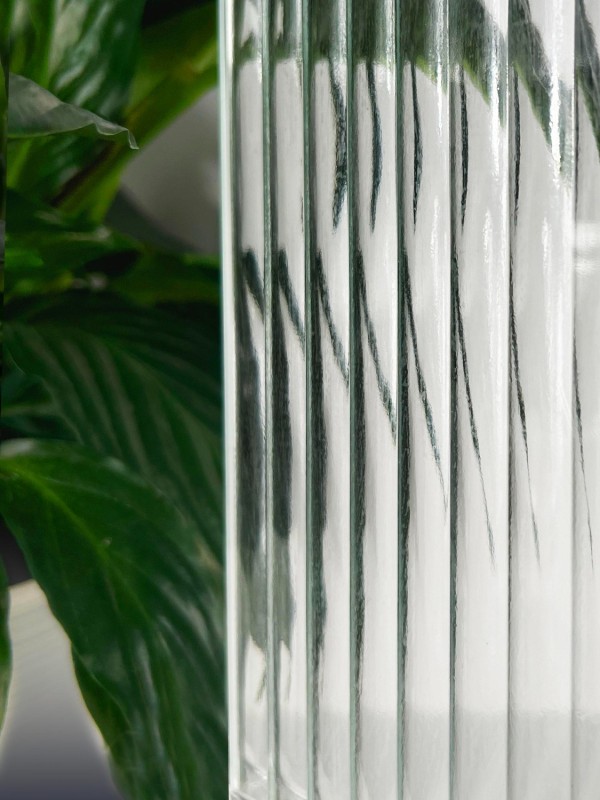 shelbi scaled shelbi scaled